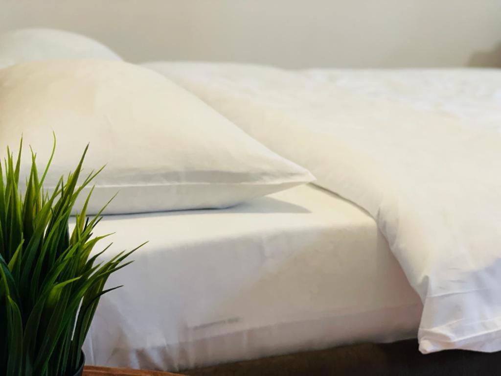 Tranzzit Airport Apartament Отопени Екстериор снимка